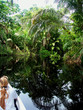 Canaux jungle Tortueguero 4 Canaux jungle Tortueguero 4