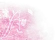 backgound pink floral design