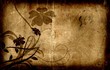 picture of floral design on an old paper texture