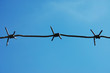 Barbed Wire Barbed Wire