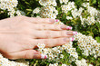 Nail Design