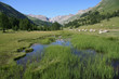 Tourbière