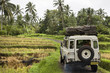 adventure Indonesian
