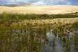 Desert lake