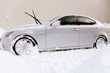 Photos : after snowfall