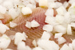 Salted New Dutch herring with sliced union - Close-up