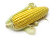 Corn On The Cob