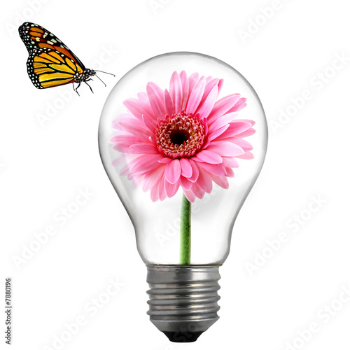 Photo: flower in the light bulb flower in the light bulb