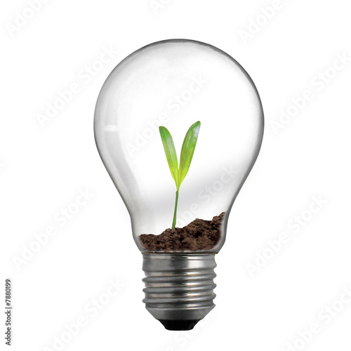 new life in light bulb