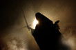 Arabian woman appearance with a sword in hand. Arabian woman appearance with a sword in hand.