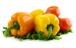 vegetables