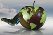 Earth fruit butterfly Earth fruit butterfly