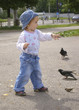 Girl feeds pigeons