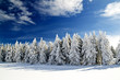 Winter 1