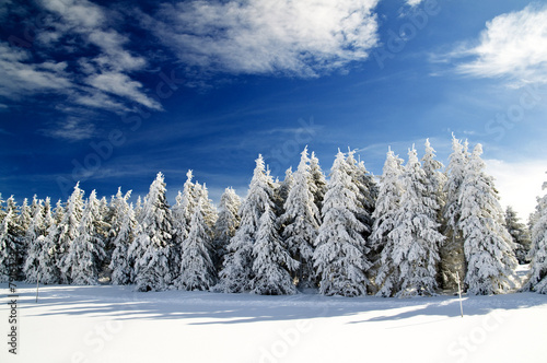 Foto: Winter 1 Winter 1