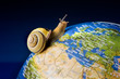 Snail tourist