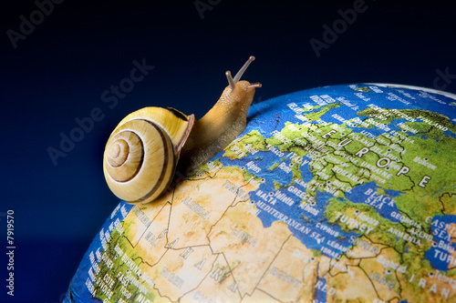 Snail tourist