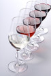 Wine Tasting