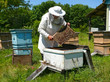 Beekeeper 25 Beekeeper 25