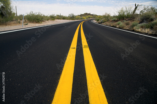 Photo: road in the Organ Pipe National Monument, Arizona, USA road in the Organ Pipe National Monument, Arizona, USA