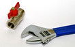 Adjustable spanner and the sanitary crane isolated