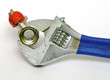 Adjustable spanner and the sanitary crane isolated