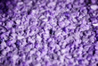 Texture of cloth by the close-up