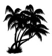 Palm trees silhouette