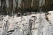 Creeks of Cassis near Marseille ( France)