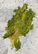 Reliefkarte von Hessen, eingefärbt nach Vegetation Reliefkarte von Hessen, eingefärbt nach Vegetation