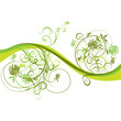 Floral background, vector illustration 