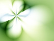 Illustration : Floral background Floral background