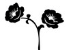 Flower Silhouette  