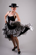 Flamenco Dancer Flamenco Dancer