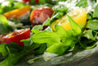 Rucola