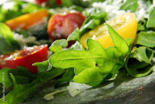 Rucola