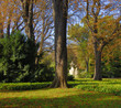 Early sun in the jardin du Luxembourg