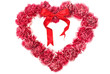 Carnation In Love Shape Carnation In Love Shape