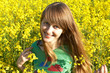 Foto: sunny field-2 sunny field-2