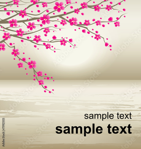 Vector illustration of a cherry twigs in bloom Vector illustration of a cherry twigs in bloom