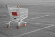 Shopping cart