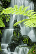 Japanese garden waterfalls, slow shutter. Japanese garden waterfalls, slow shutter.