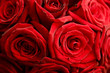 Quadro bouquet
