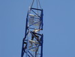 grue
