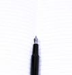 fountain pen and notebook