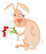 rabbit rabbit
