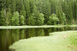 waldsee im frühling waldsee im frühling
