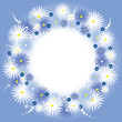 Camomiles