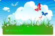summer meadow