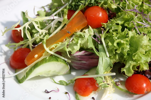 Salat